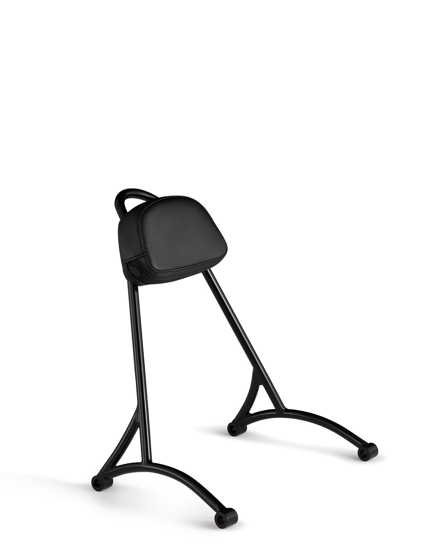 Viking Iron Born 13" Sissy Bar with Backrest Pad for Harley Sportster Forty Eight XL1200X/XS Gloss Black Main view