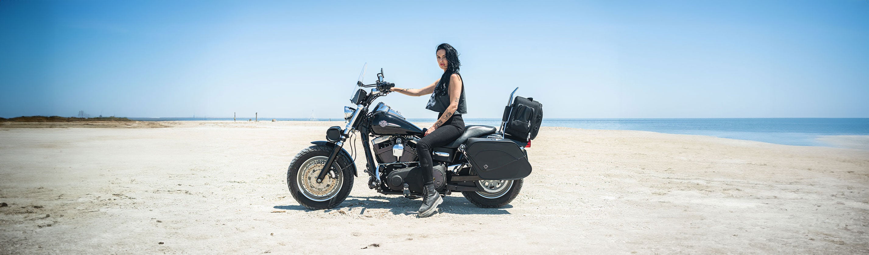 harley davidson dyna fat bob FXDFSE sissy bars