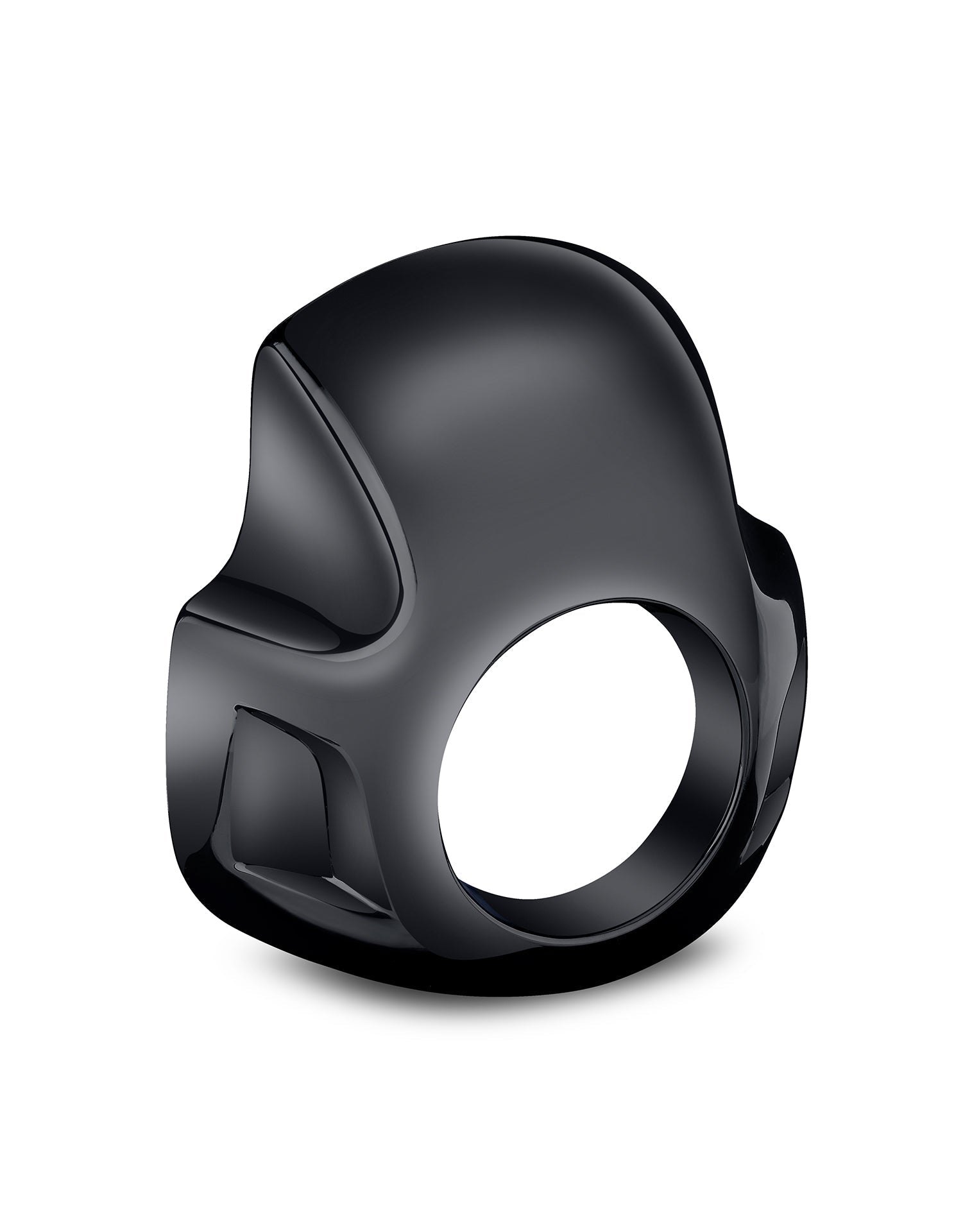 Viking Strider Sport Motorcycle Fairing For Harley Sportster 883 Low XL883L Gloss Black Main view