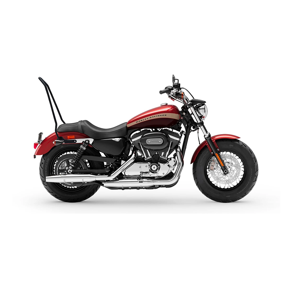 harley davidson sissy bars