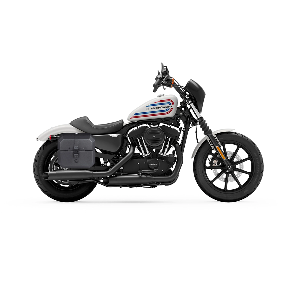 Saddlebags for Harley